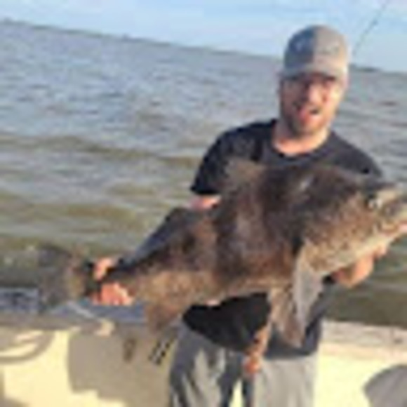 Meet your Posher, Nicholas - Picture 1 of 1